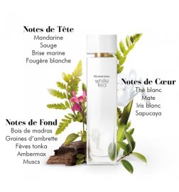 White Tea - Eau de Toilette White Tea - Eau de Toilette